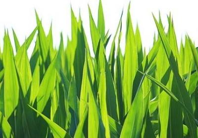 班主任寄语初中励志篇(合集9句)