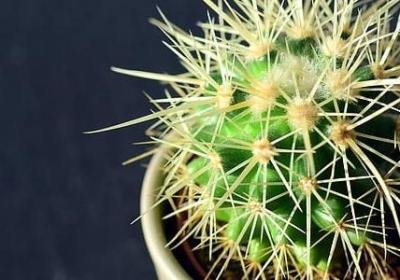 洗脑励志的句子(热门40句)