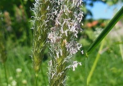 男性励志网名大全(共74句)