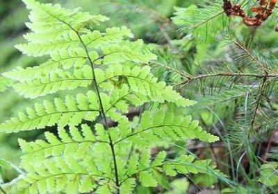 生活工作两不误励志语(推荐40句)