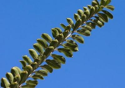 犹太人最励志的名言(优选40句)