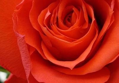 清晨励志图片(汇总40句)