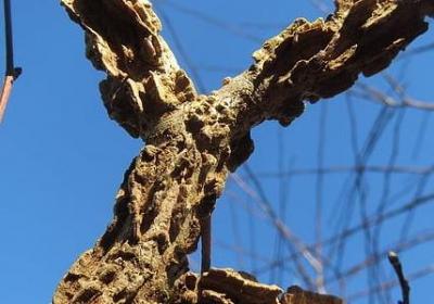 比较励志的书籍有哪些(优选41句)