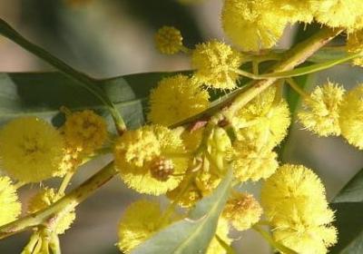 正能量励志句子(共60句)