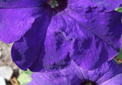 电影里的励志台词(优选50句)