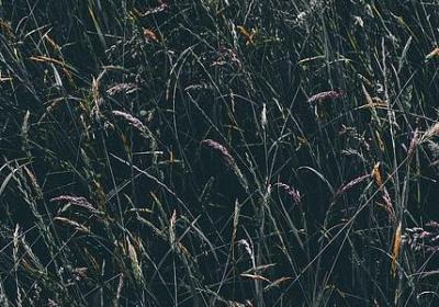 现代励志电视剧(通用60句)