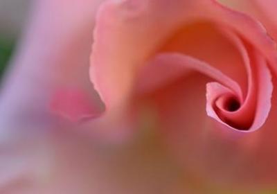 班级标语 励志(共69句)