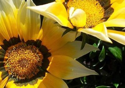 每日励志名言(共40句)