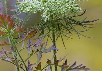 正能量励志文字图片(合集50句)