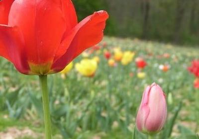 海贼王励志图片(实用10句)