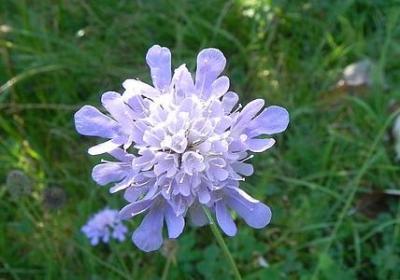 王者荣耀励志台词(通用50句)