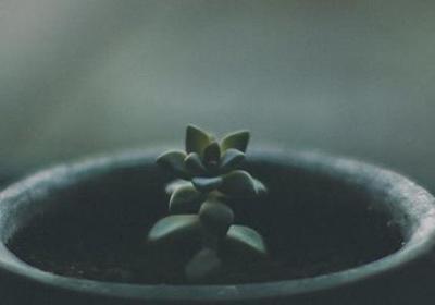 每人一句话励志(必备40句)