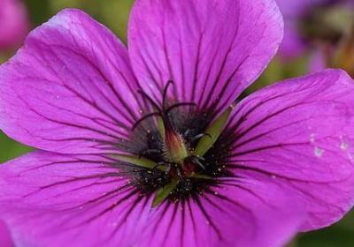 班级口号16字押韵励志(汇总90句)