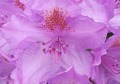 生活励志短语(通用60句)