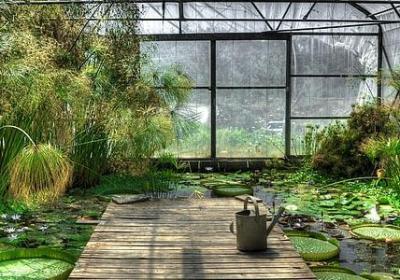 班级励志口号(汇总40句)