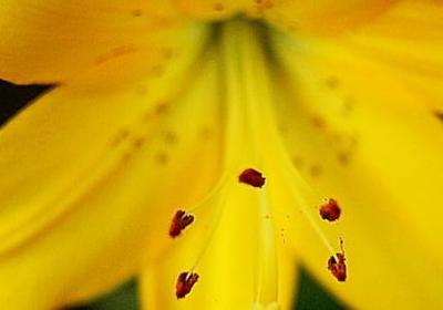 每天清晨励志的一段话(精选40句)