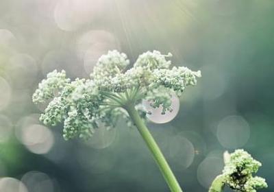 爱国励志诗歌(必备50句)