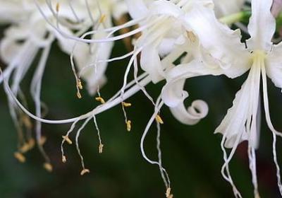 生活中励志感悟的句子(共50句)