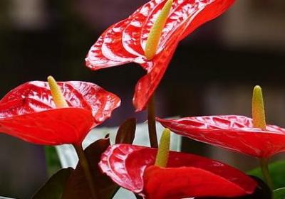 男人励志的歌曲(共10句)