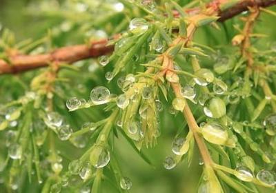 每日一句英语励志名言(推荐77句)