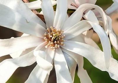 电脑桌面壁纸励志文字(必备49句)