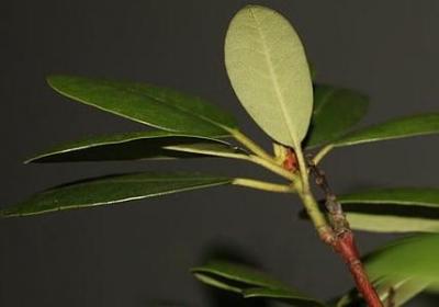 电影中的经典励志台词(合集40句)