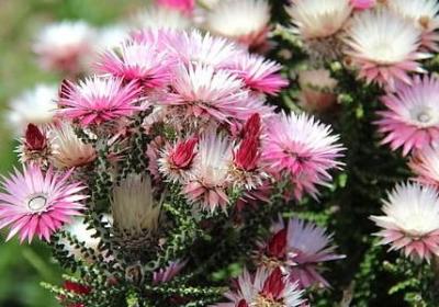 牛顿的励志故事(热门10句)