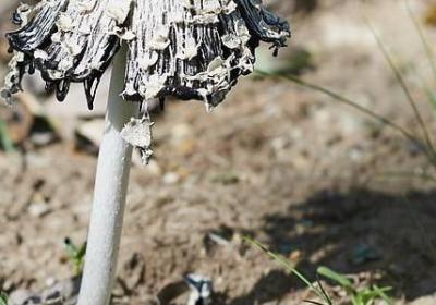 电脑励志桌面壁纸(实用50句)