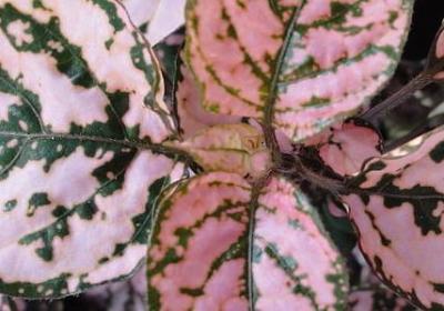 特别励志的歌曲(通用70句)