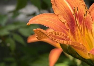 瓦尔迪励志故事(热门30句)