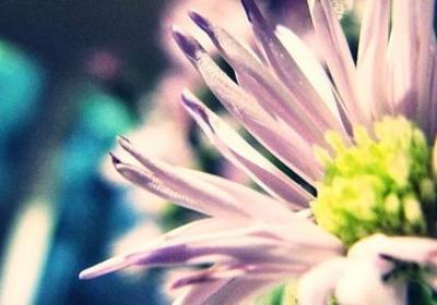 生活励志说说(共50句)