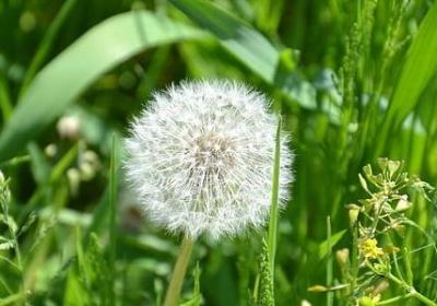 生病励志的句子说说心情短语(汇总40句)