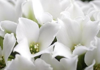 电影励志(汇总11句)