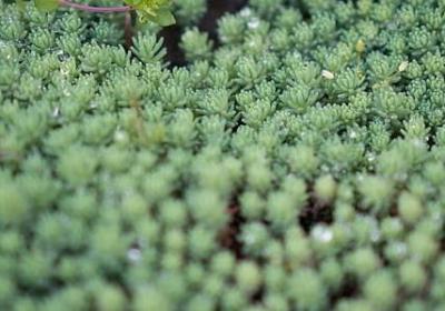 清晨励志(推荐50句)