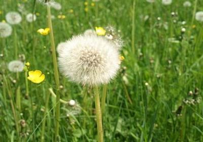 现代诗歌励志(优选40句)