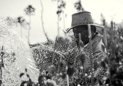 浪漫励志的句子(精选70句)