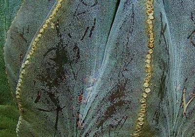 生命励志的句子(热门50句)