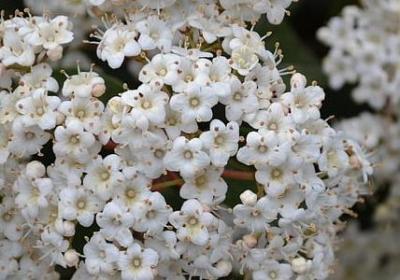 汗水励志语录(精选70句)