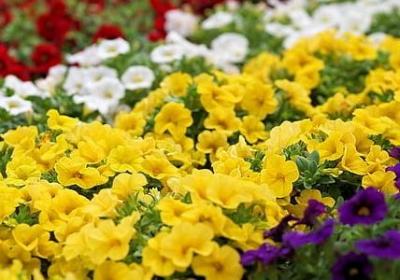 老人励志故事(10句)