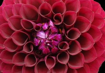 简短励志个性签名(优选60句)