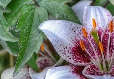 积极励志的句子(优选60句)