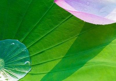 经典励志古诗词(优选79句)