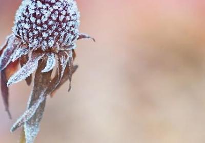 短句励志语录(热门40句)