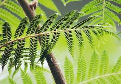 瘦到100斤励志图片(热门40句) 瘦到100斤励志图片(热门40句)