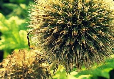 自信图片 励志(共80句) 自信图片 励志(共80句)