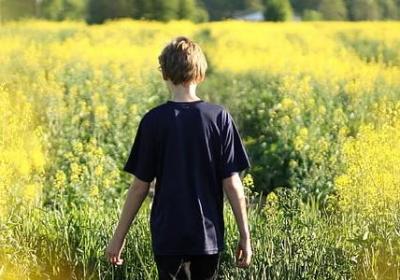 考研励志手机壁纸(必备90句) 考研励志手机壁纸(必备90句)