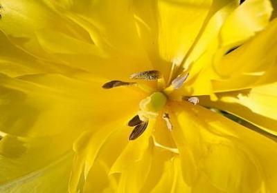 目标励志图片(60句) 目标励志图片(60句)