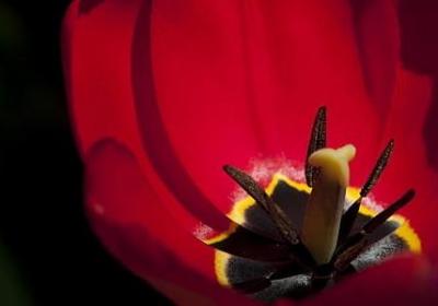 聊天背景图励志(精选88句) 聊天背景图励志(精选88句)