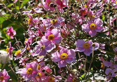 科比说过的励志名言(热门60句) 科比说过的励志名言(热门60句)