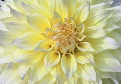 知音励志(共50句) 知音励志(共50句)